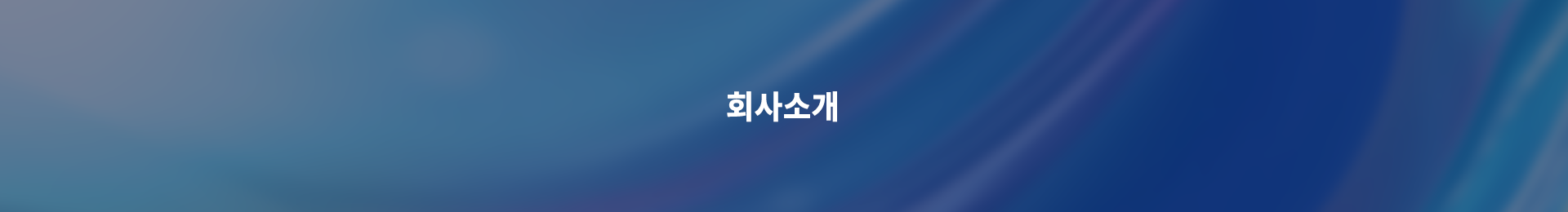 회사 소개 배너