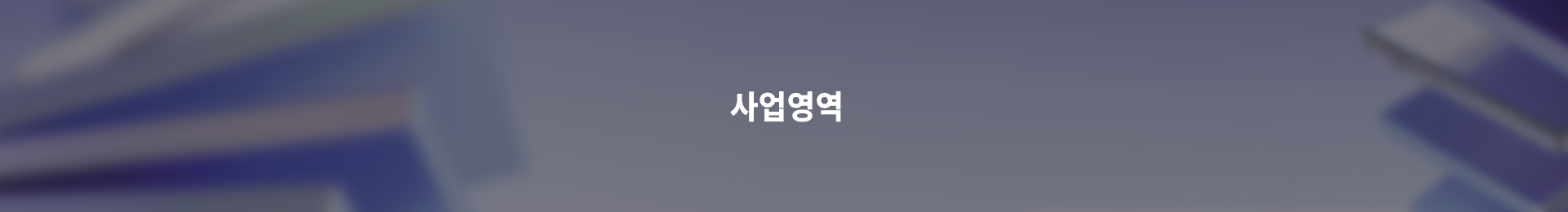 사업영역 배너